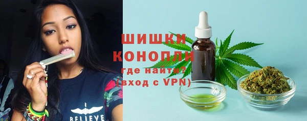 Альфа ПВП Гусев