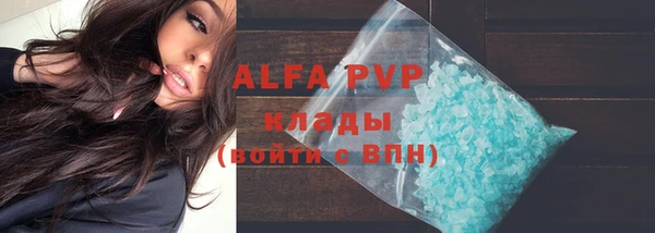 гашик Гусь-Хрустальный