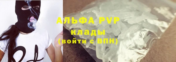 гашик Гусь-Хрустальный