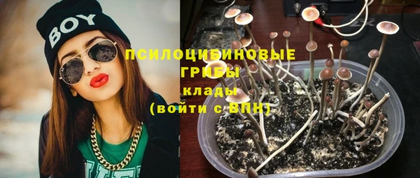 Альфа ПВП Гусев