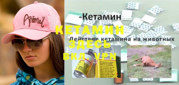 Альфа ПВП Гусев