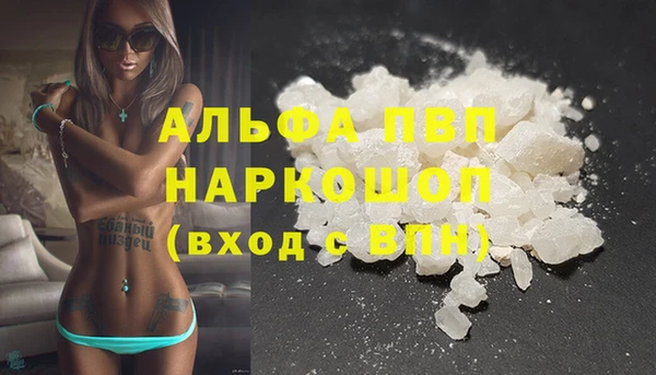 гашик Гусь-Хрустальный