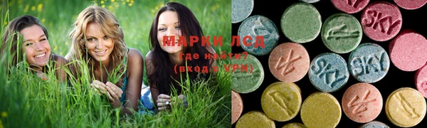 Альфа ПВП Гусев