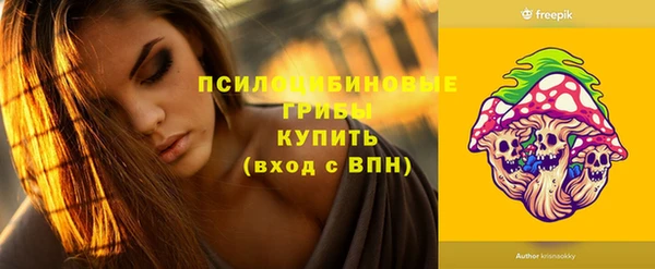гашик Гусь-Хрустальный